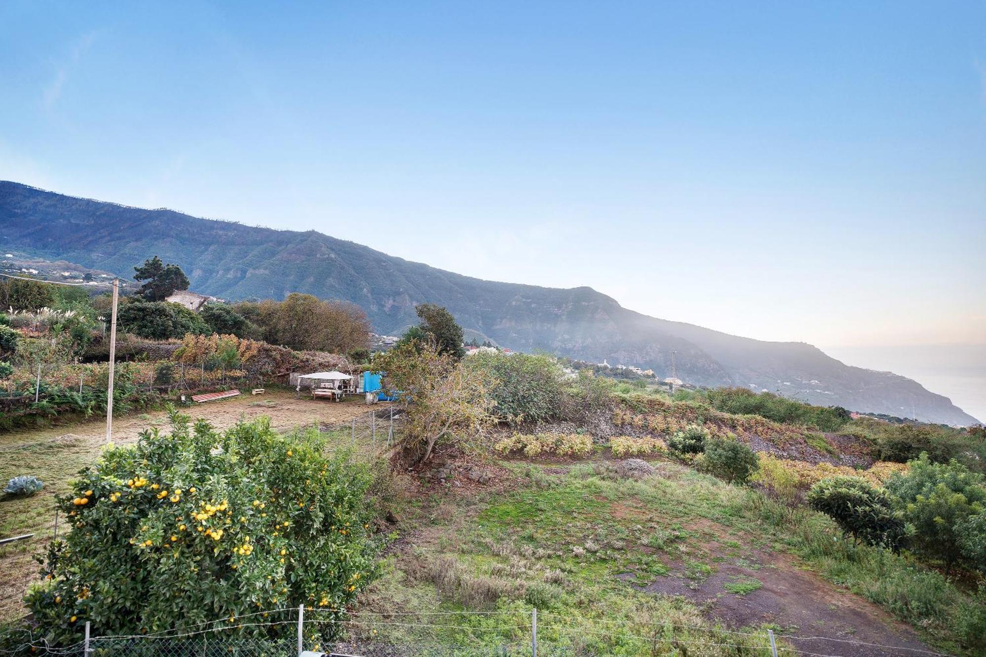 Casita Rural La Pinera Villa Los Realejos Eksteriør billede